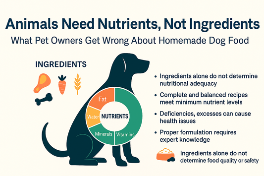 Animals Need Nutrients, Not Ingredients: What Pet Owners Get Wrong About Homemade Dog Food