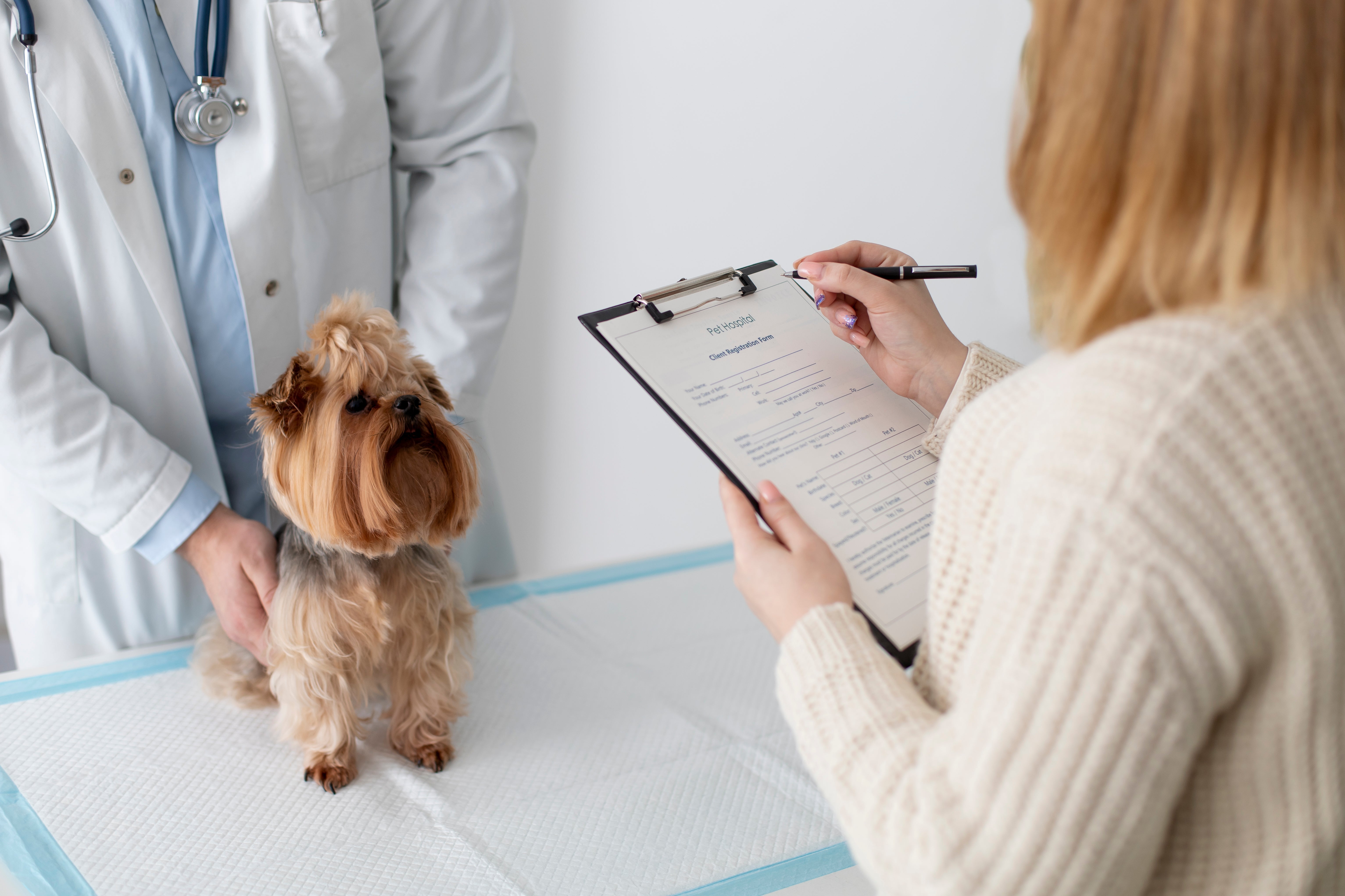 A closer look at Canine Pancreatitis Relief